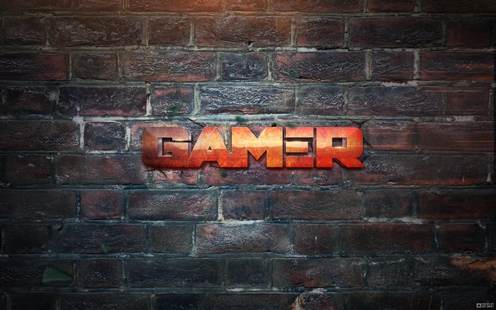 Gamer