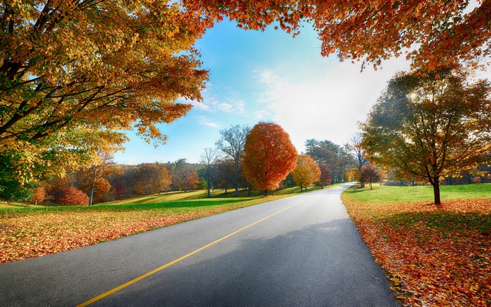 Autumn road with colorful foliage
