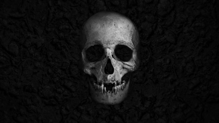Skull on a dark textured background