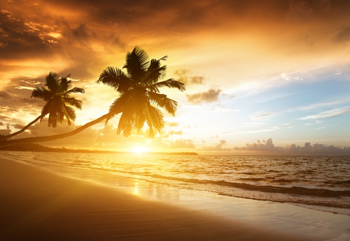 Sunset over a beach with palm trees