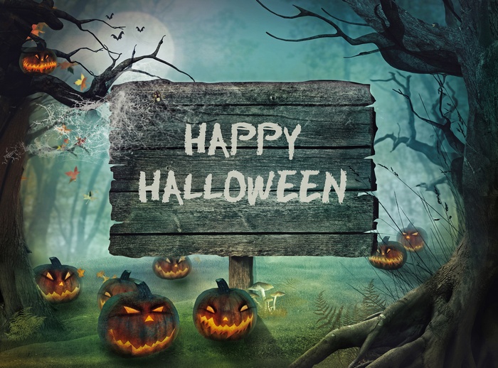 Happy Halloween wooden sign with pumpkins