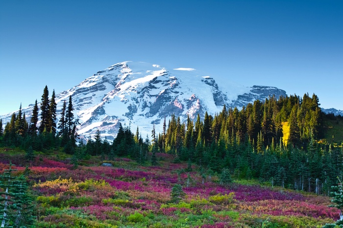 Mount Adams, 4K, Mount Rainier National Park