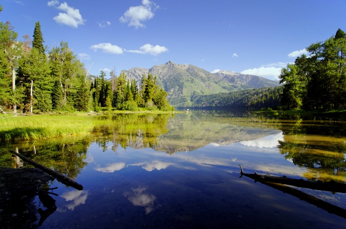 Lake and Mountains with Forest Reflection