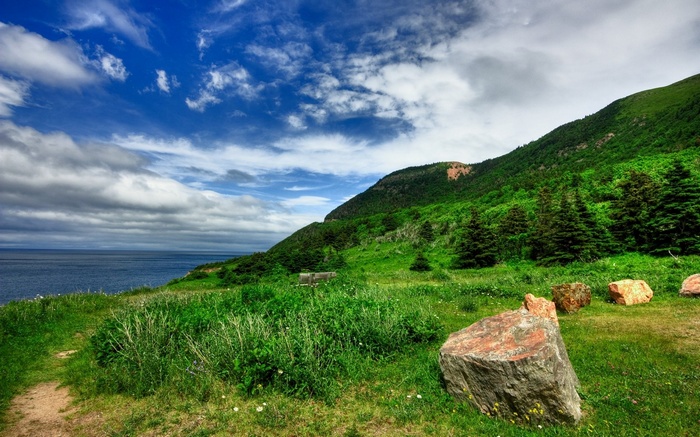 Green Hillside Overlooking the Ocean