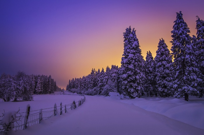 Snowy forest road at dusk with purple and orange sky