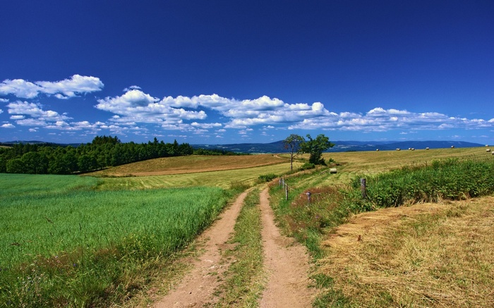 Dirt road through green and golden fields under blue sky