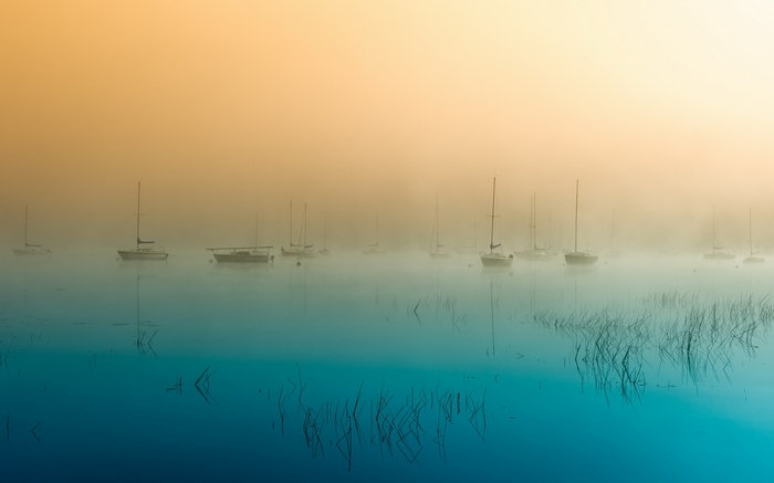 Morning, Fog, Lake, Boats