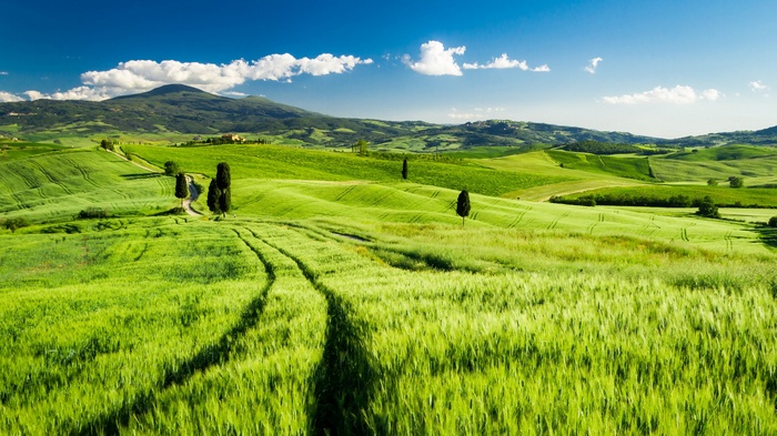 Tuscan Landscape in Italy