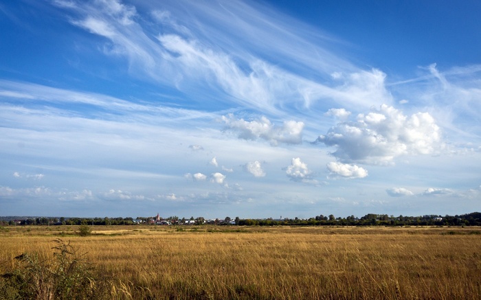 Golden field with village and wispy clouds