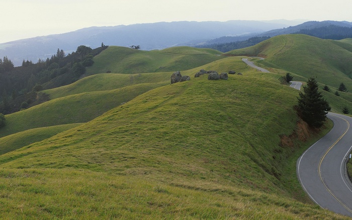 Winding road through rolling green hills