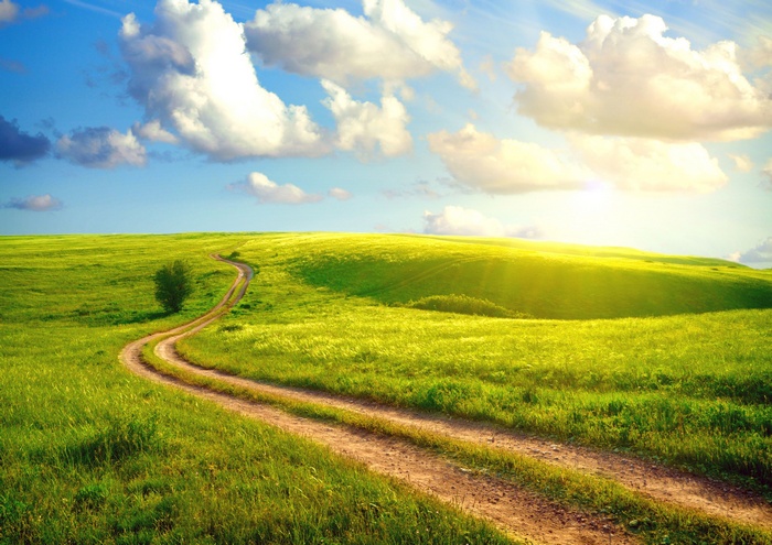 Dirt Path Through Green Hills Under Sunshine