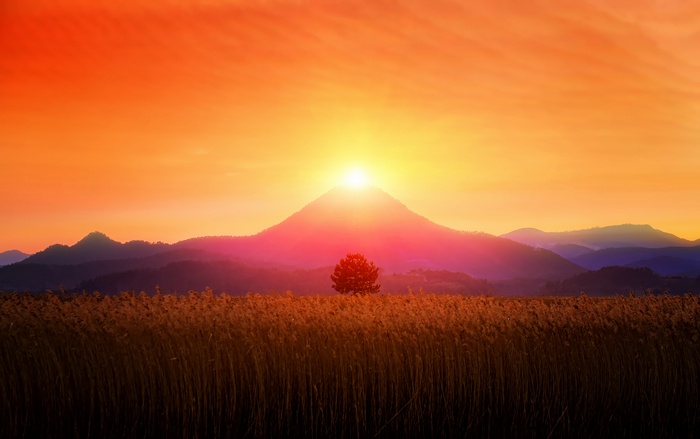 Sunset over mountains with reeds and a lone tree