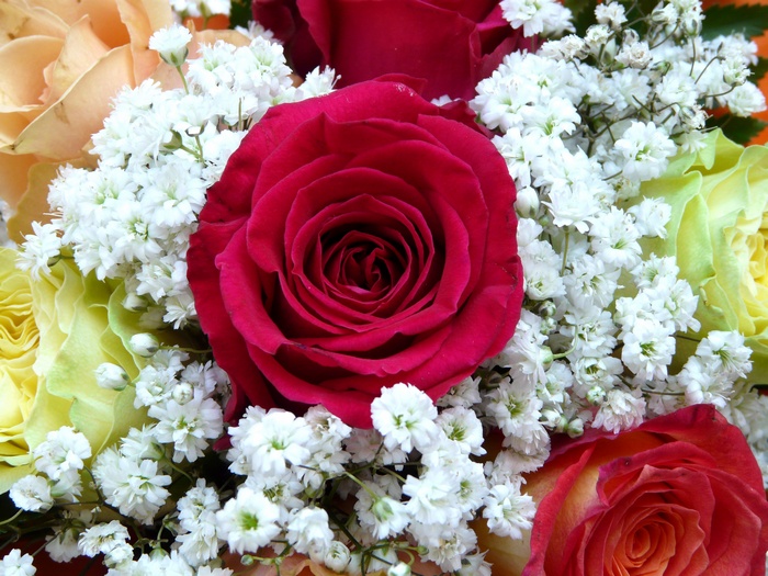 Flower bouquet with red roses and baby's breath