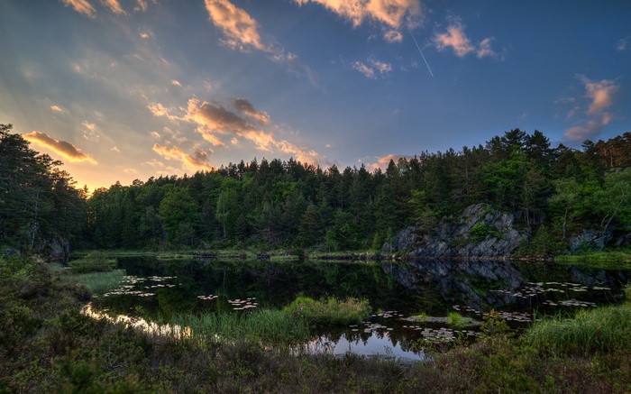 Sunset over a forest lake with reflections