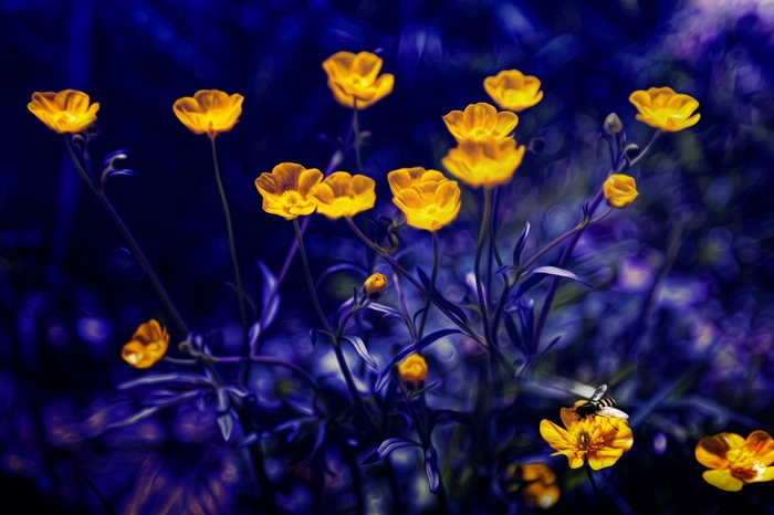 Yellow flowers with a bee, 4K