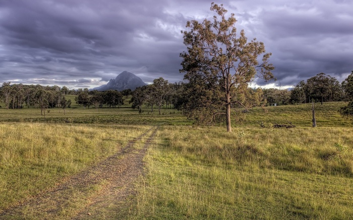 Dirt path through a grassy field towards a mountain