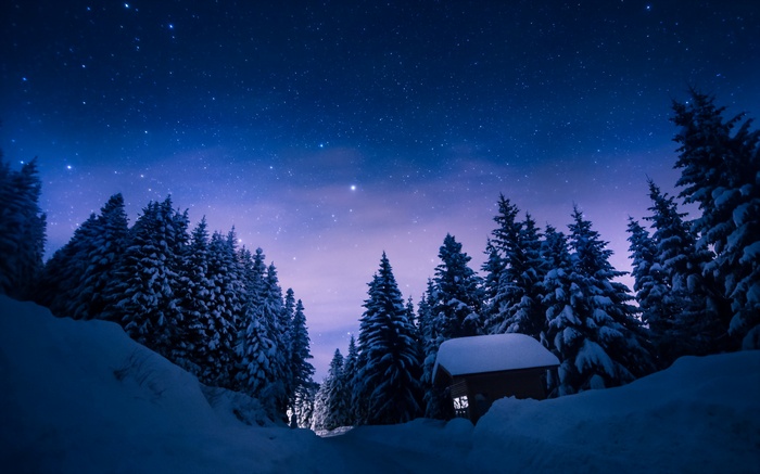 Snowy forest with cabin under starry night sky