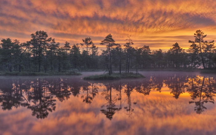 Sunrise over a misty bog with reflections