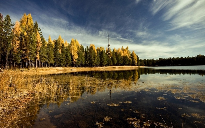 Autumn trees reflected in a lake under a cloudy sky