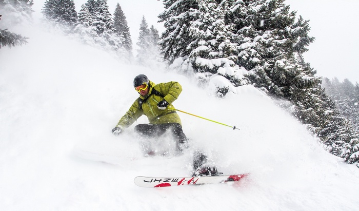 Man skiing through powder snow near pine trees