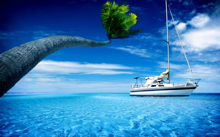 Palm tree over turquoise water with sailboat