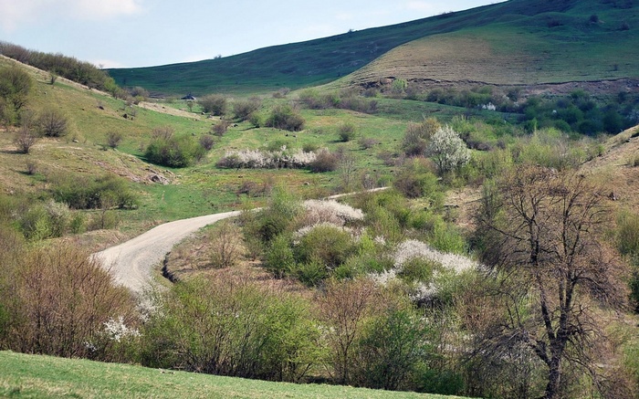 A winding dirt road through a green, hilly landscape with scattered trees and bushes.