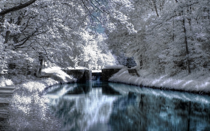 Canal lock with trees and water reflection