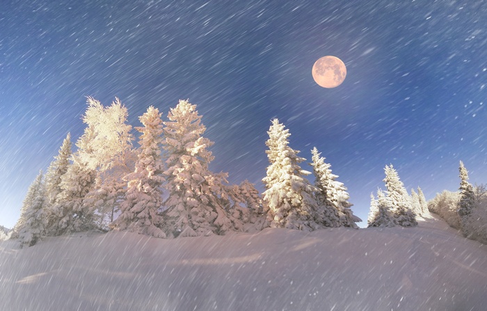 Snowfall in a snowy forest under the moon