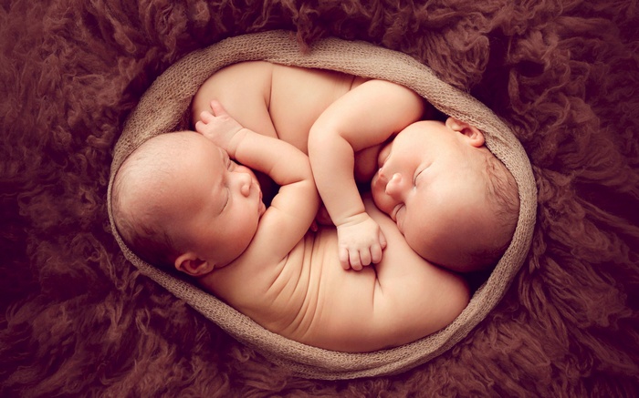 Newborn twins sleeping wrapped in a blanket