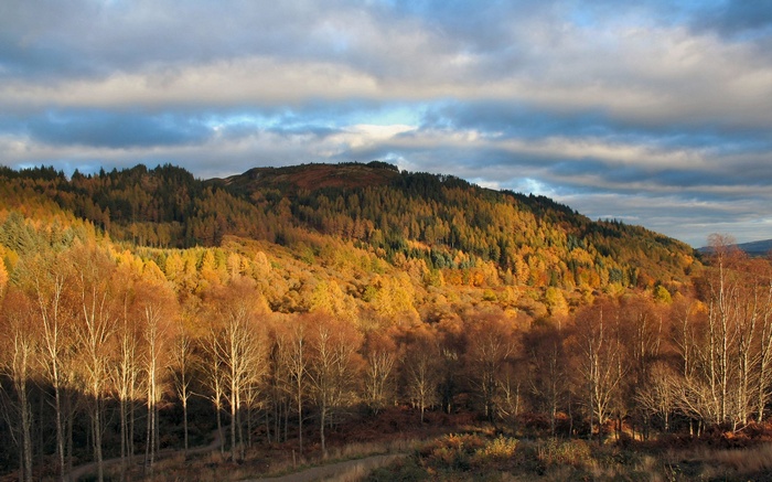 Autumn hillside with trees and clouds