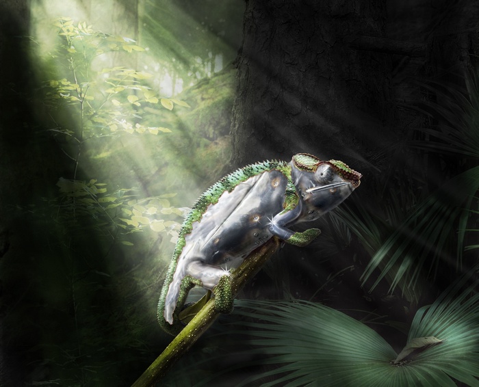 Mechanical Chameleon in a Sunlit Forest