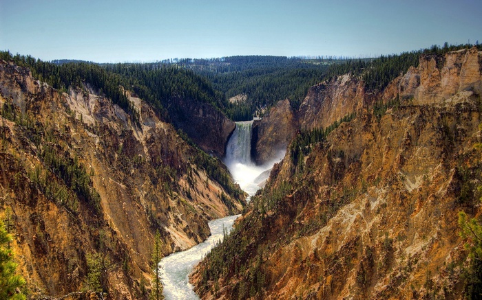 Waterfall in a canyon with pine trees