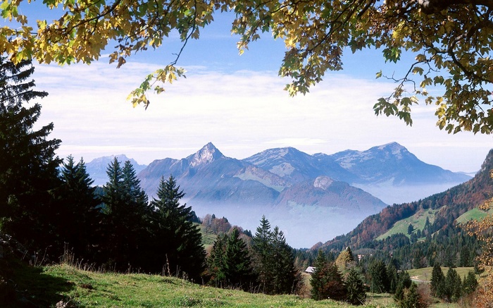 Mountain landscape with trees and foliage