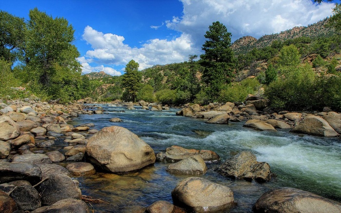 River flowing through a rocky landscape with trees and mountains
