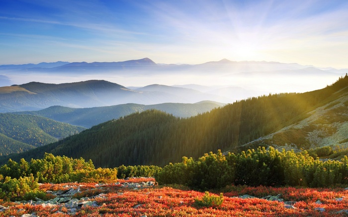 Sunrise over misty mountains and forest