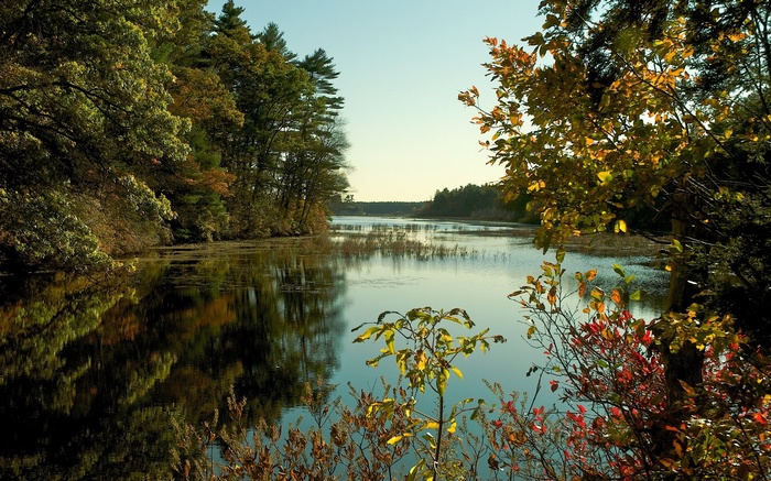 Autumn trees reflect in a calm lake