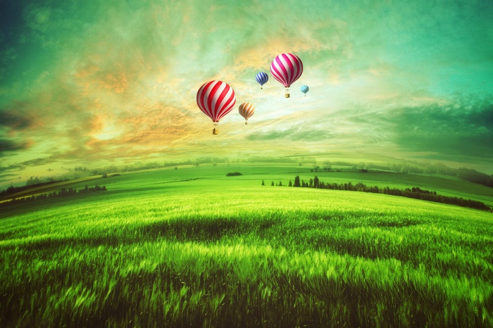 Hot air balloons over a green landscape