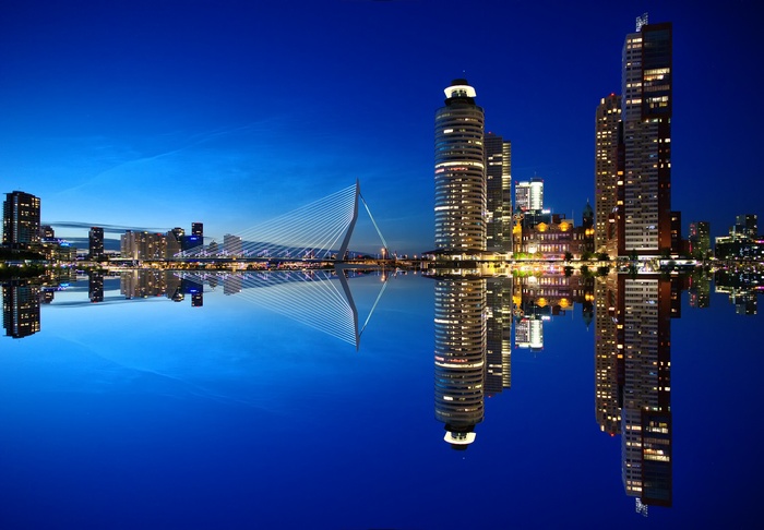 Rotterdam Nightscape with Erasmus Bridge and Skyscrapers