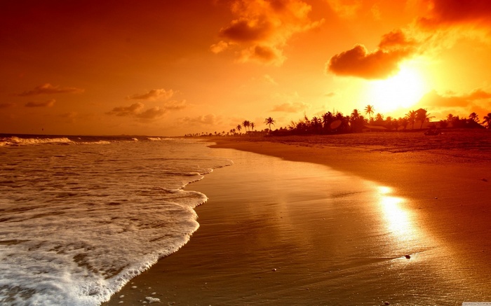 Sunset over a tropical beach with palm trees
