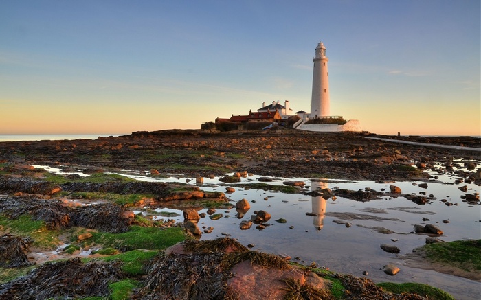 St Mary's Lighthouse at sunrise on rocky shore
