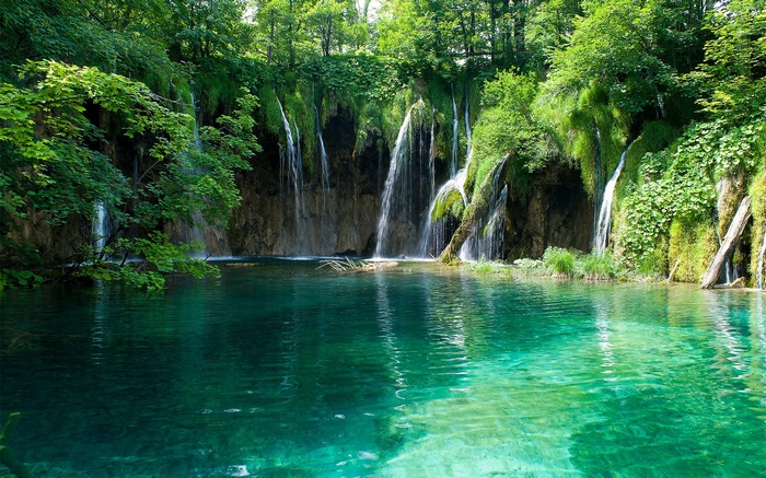 Waterfalls cascading into a clear turquoise lake in a forest