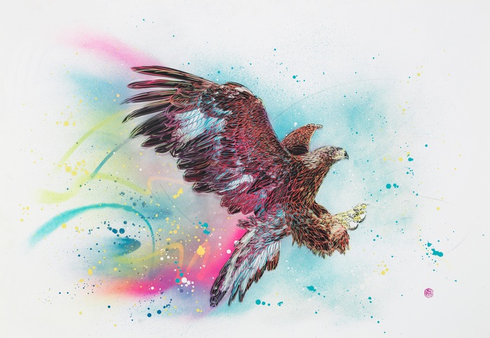 Colorful Eagle Artwork