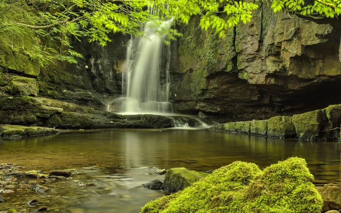Waterfall cascading into a pool surrounded by mossy rocks and foliage