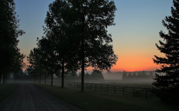 Sunrise over a misty rural landscape with trees and a fence