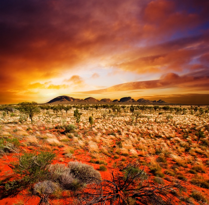 Desert Landscape at Sunset in Central Australia