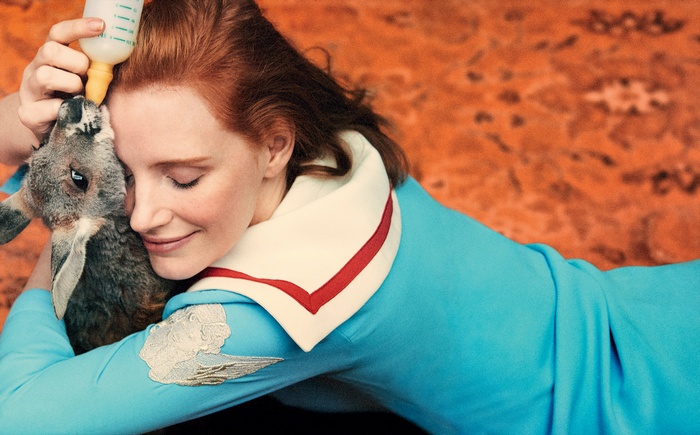 Jessica Chastain feeding a kangaroo