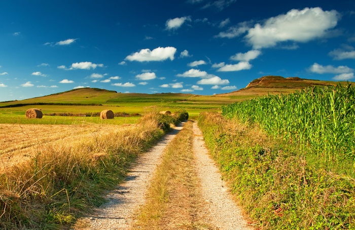 5K, Pathway, Countryside