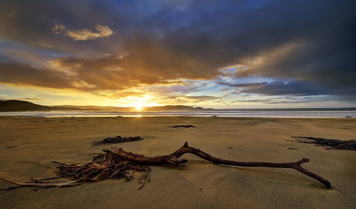 Beach at sunset with driftwood and stormy clouds