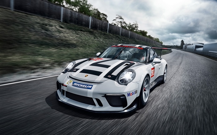 Porsche 911 GT3 Cup race car on track