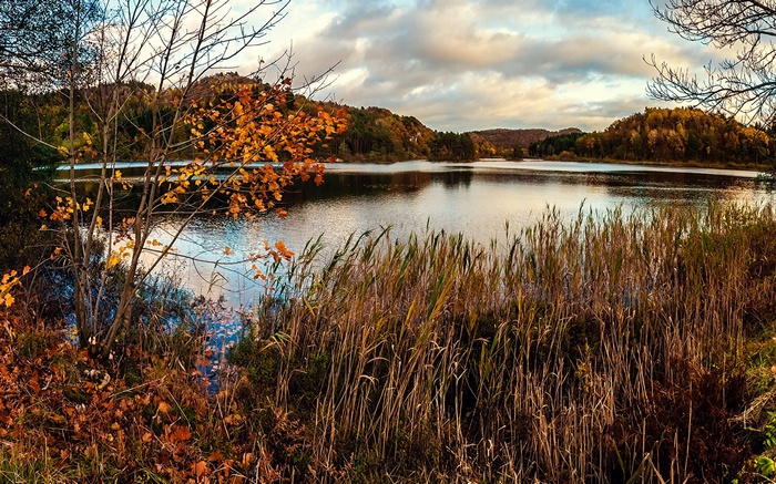 Autumn lake with trees and reeds